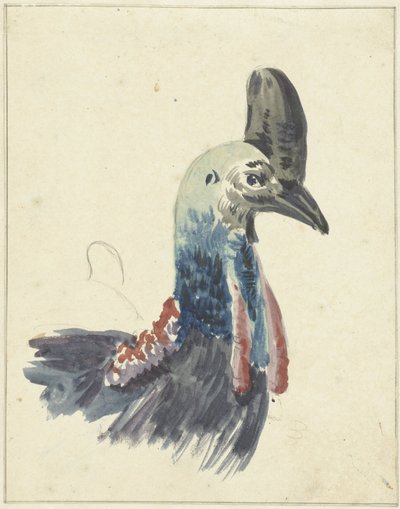 Head of the Cassowary, watercolor by Christiaan van Geelen